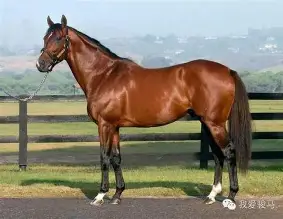 开云体育下载-马拉加再次失利，保级境况堪忧的简单介绍