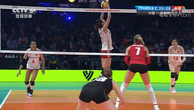 比利时国家队破釜沉舟,闯入决赛圈怒放 比利时国家队破釜沉舟,闯入决赛圈怒放