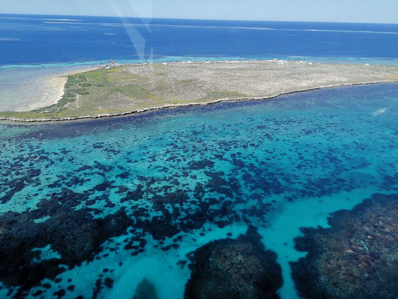 开云体育APP下载-尼斯连续不败，出现转机迹象