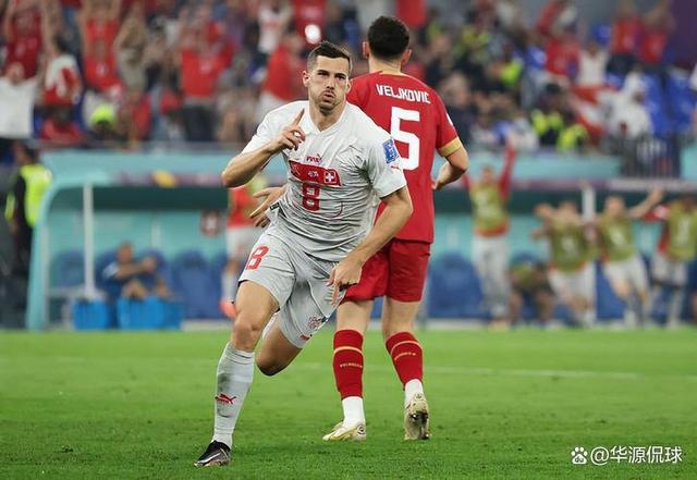 开云体育APP下载-瑞士队意外淘汰，未能晋级国际足球赛事半决赛