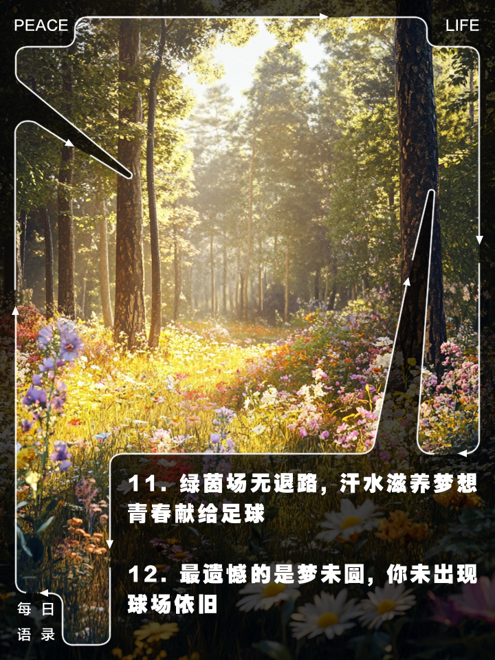 无所畏惧:女子足球英勇拼搏战场豪情万丈的简单介绍 无所畏惧:女子足球英勇拼搏战场豪情万丈的简单介绍