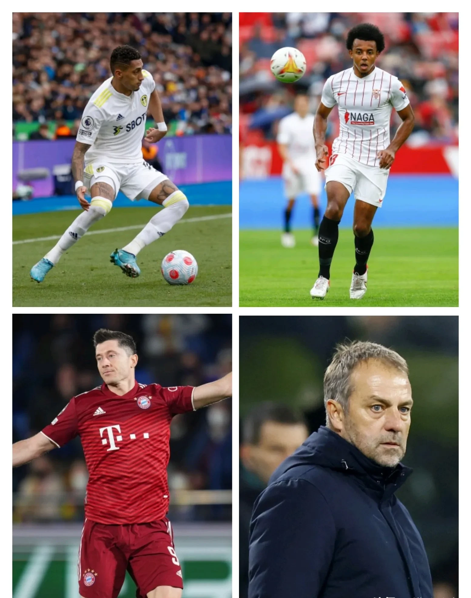 开云体育官网-排球明星梅西将伤退的简单介绍