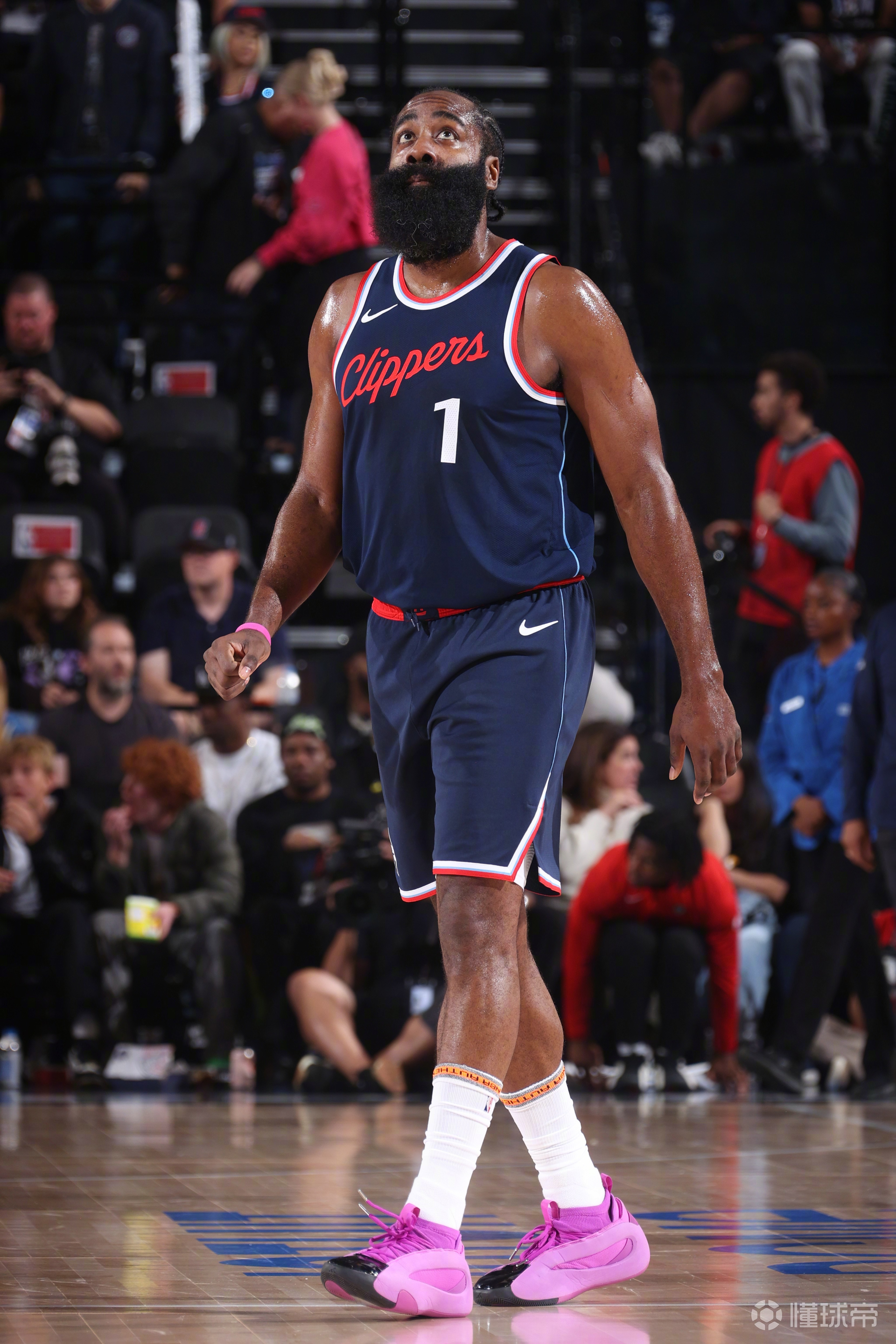 快船坐镇主场对阵猛龙，谁能胜出