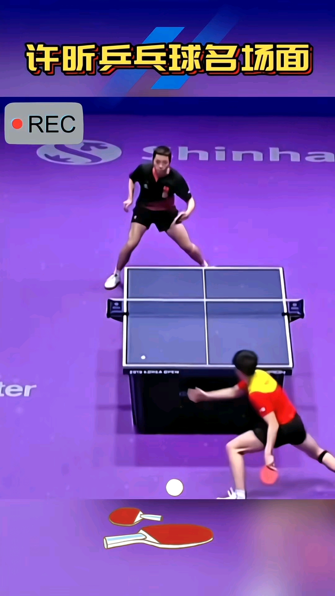 开云体育入口-日本乒乓球队血洗波兰乒乓球队，许昕关键制胜的简单介绍