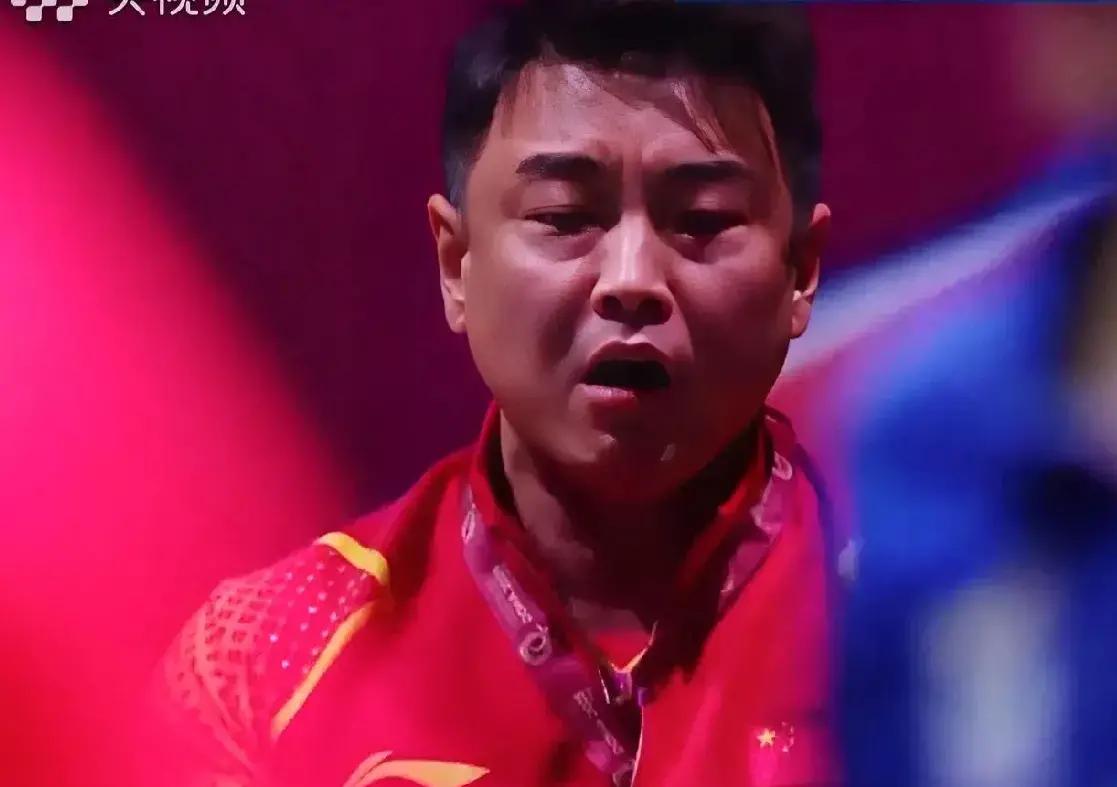 奥地利乒乓球队爆冷德国乒乓球队，王皓统治全场的简单介绍