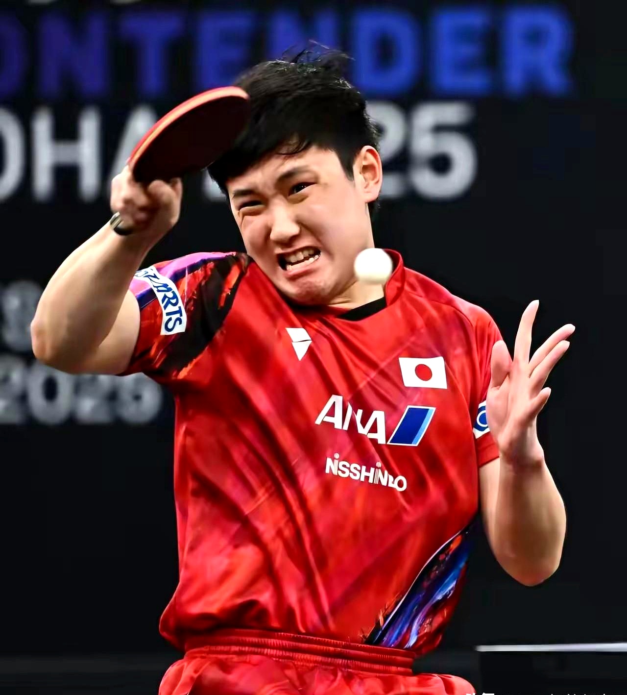 关于奥地利队翻盘韩国队,张本智和状态火热的信息 关于奥地利队翻盘韩国队,张本智和状态火热的信息